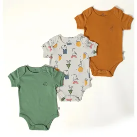 Baby 3 Pack Organic Cotton Bodysuits - Artisans, Mineral Green, White