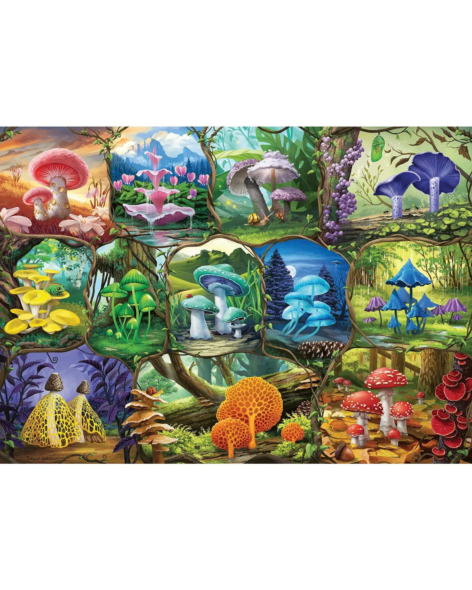 Ravensburger Beautiful Mushrooms 1000 Piece