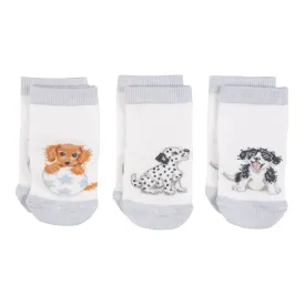 Wrendale - Little Paws Baby Socks Set